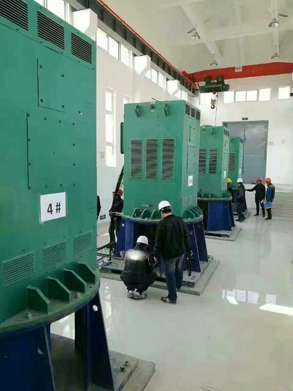 Y8006-12某污水处理厂使用我厂的立式高压电机安装现场