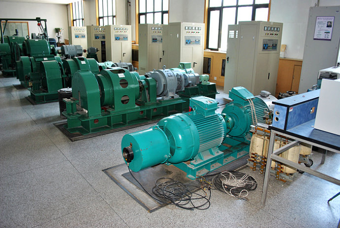 Y8006-12某热电厂使用我厂的YKK高压电机提供动力