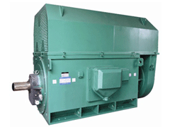 Y8006-12Y系列6KV高压电机